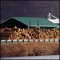  Planer Mill, Cersosimo Lumber Company, Inc., Brattleboro, VT